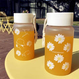 500ml Plastic Transparent Water Bottle