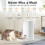 ROJECO Automatic Cat Feeder Pet