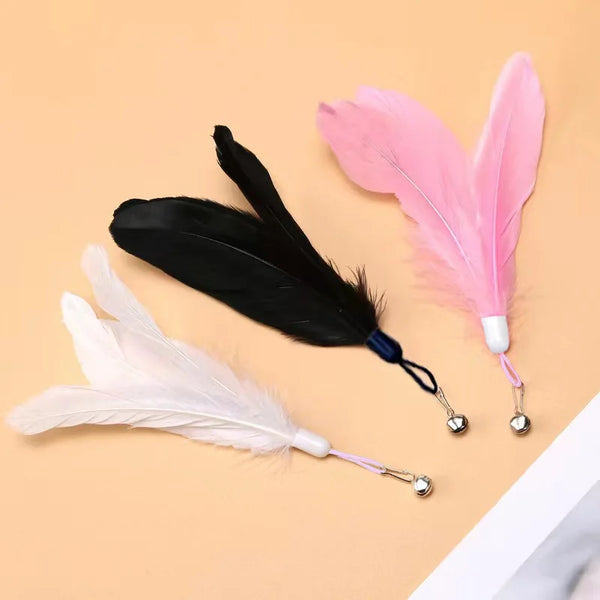 2pcs-random-feathers