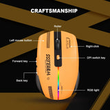 LT-T19 Ergonomic Rechargeable Gaming Mouse USB 2.4G Wireless RGB