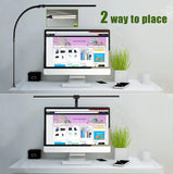 Double Head LED Clip Remote Control Desk Lamp