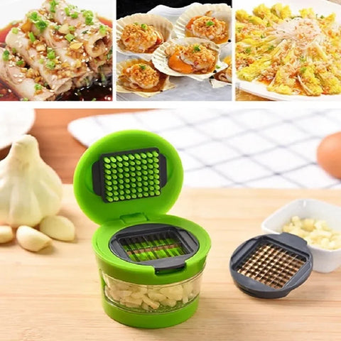 Multi-functional plastic garlic mud press mud press slicer dicing storage