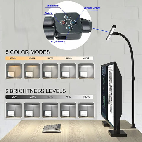 Double Head LED Clip Remote Control Desk Lamp