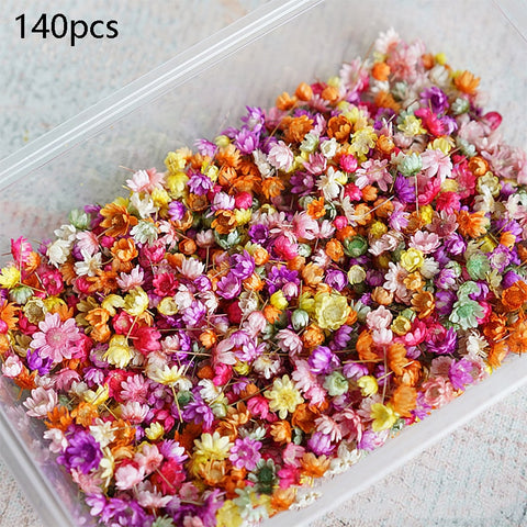 140/280pcs Flowers Little Star Flower Head