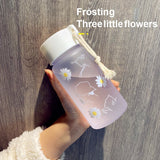 500ml Plastic Transparent Water Bottle