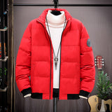 Solid Stand Collar Male Windbreak Cotton Padded Down Jacket